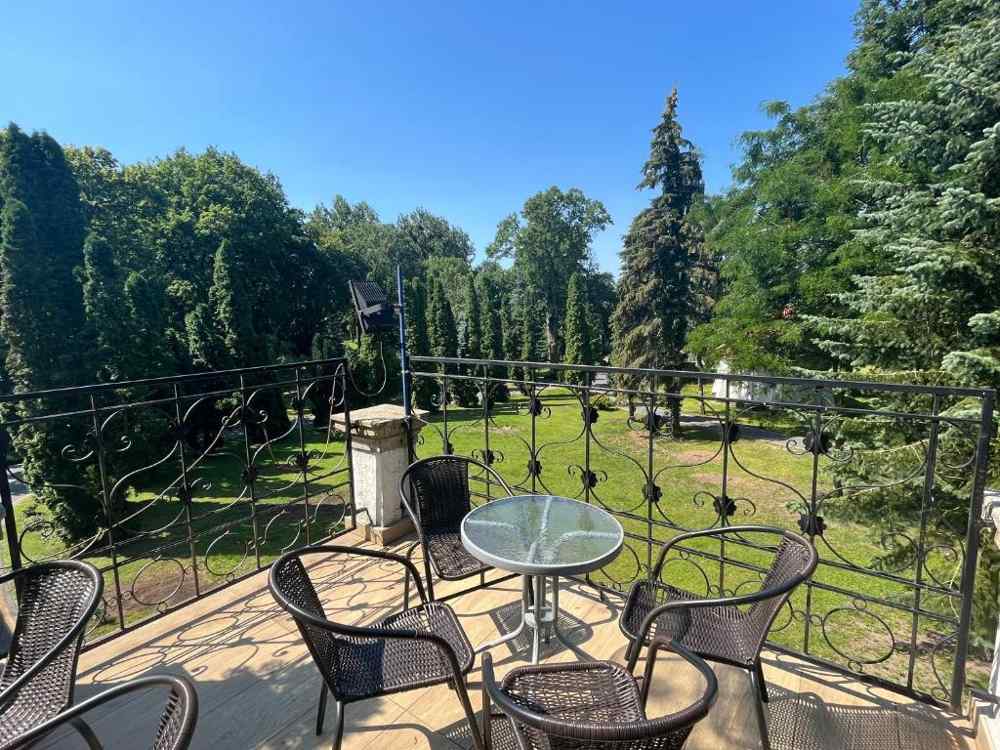 Taras pałacu z widokiem na park
